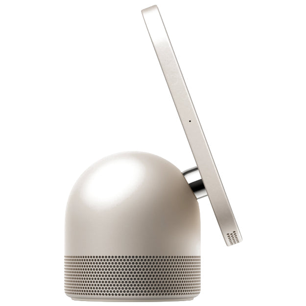 Apple HomeView