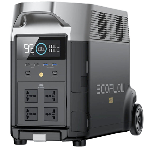 EcoFlow Delta Pro Portable Power Station - Black