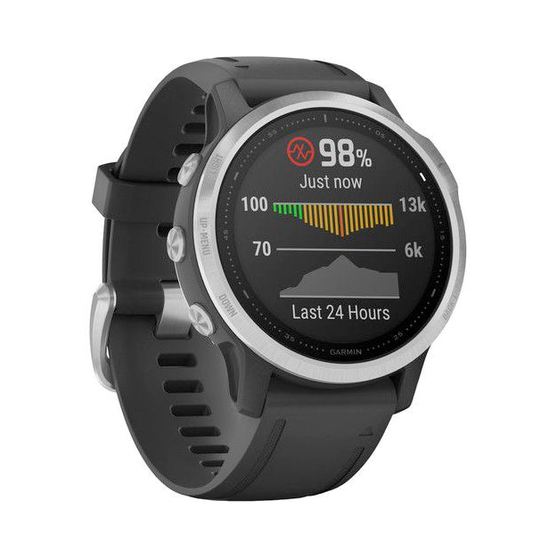 Garmin Fenix 6S Multisport GPS Watch